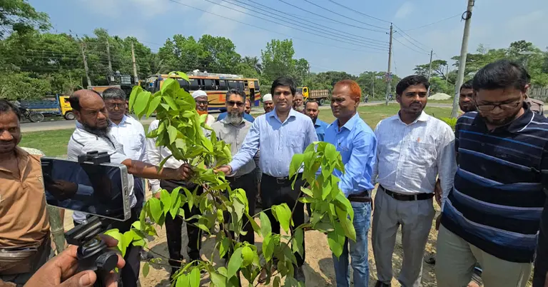 বৃক্ষরোপণ অভিযান